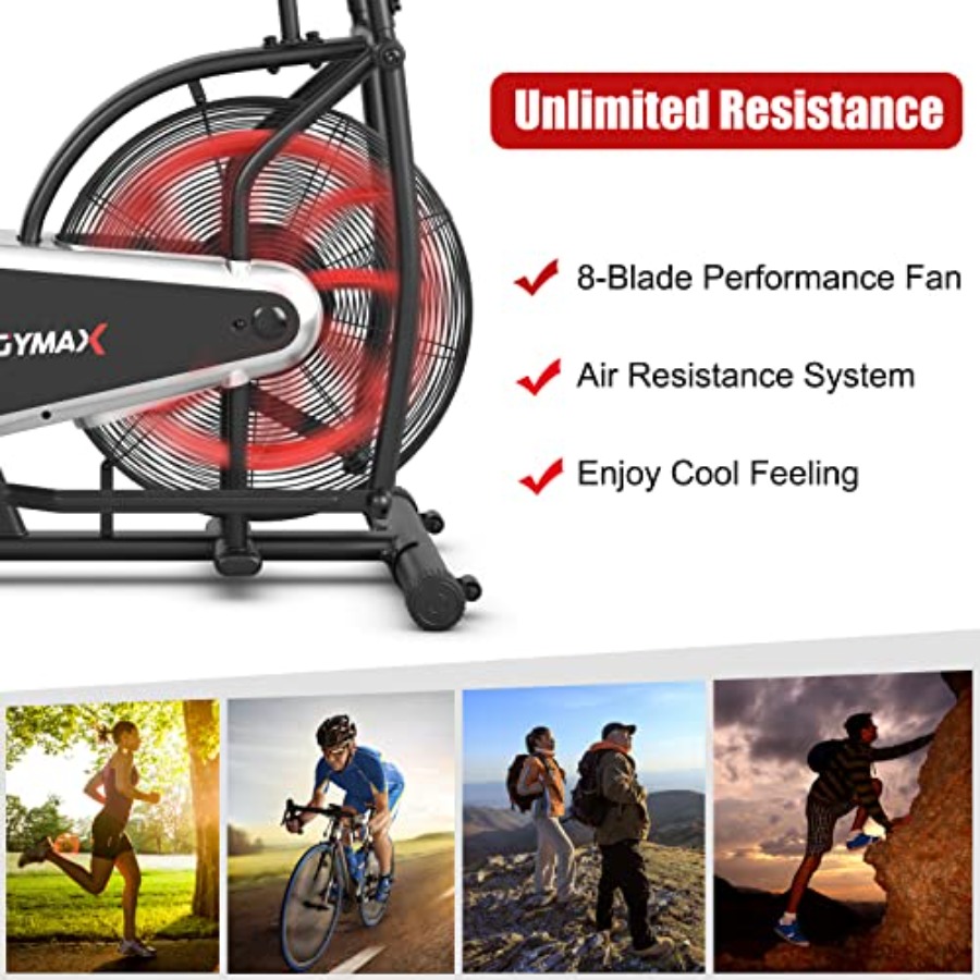 Entraînement cardio à domicile - Phone Holder avis et prix
